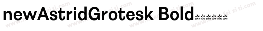 newAstridGrotesk Bold字体转换